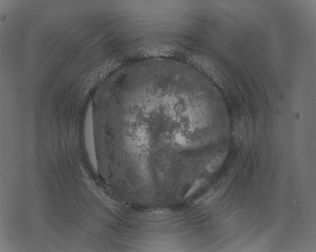 X0000073750402200608171336