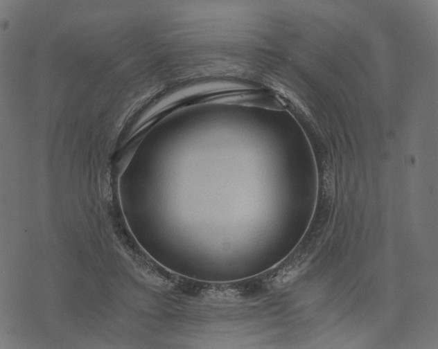 X0000073750403200608171336