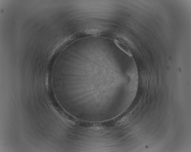 X0000073750404200608171336