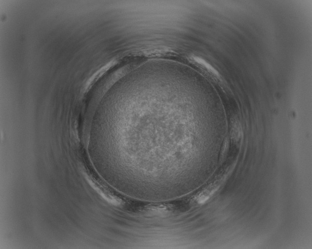 X0000073750405200608171336