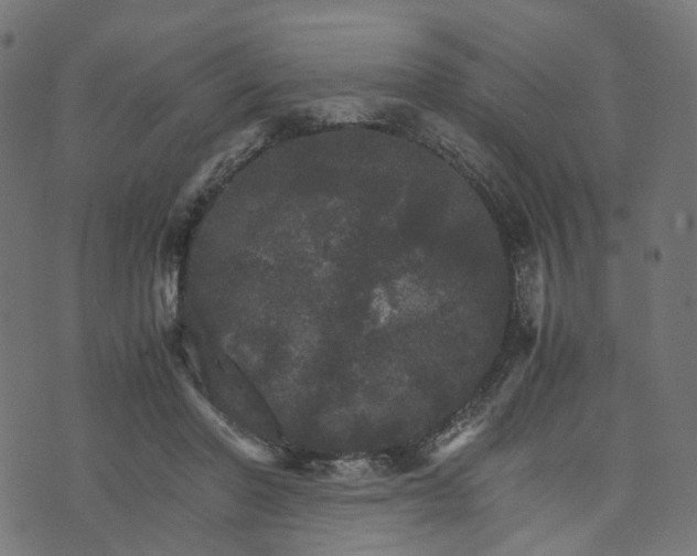 X0000073750406200608171336