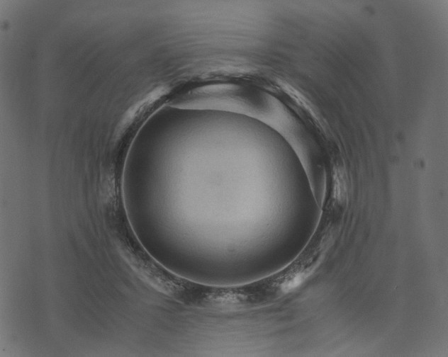 X0000073750407200608171336