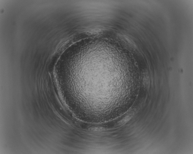 X0000073750408200608171336