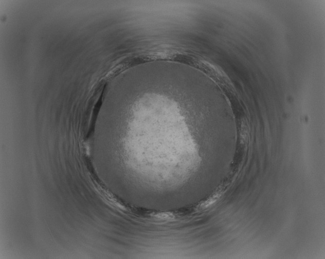 X0000073750409200608171336