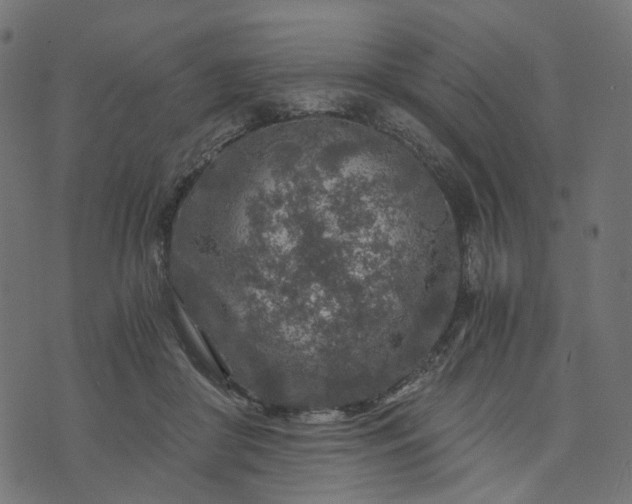 X0000073750410200608171336