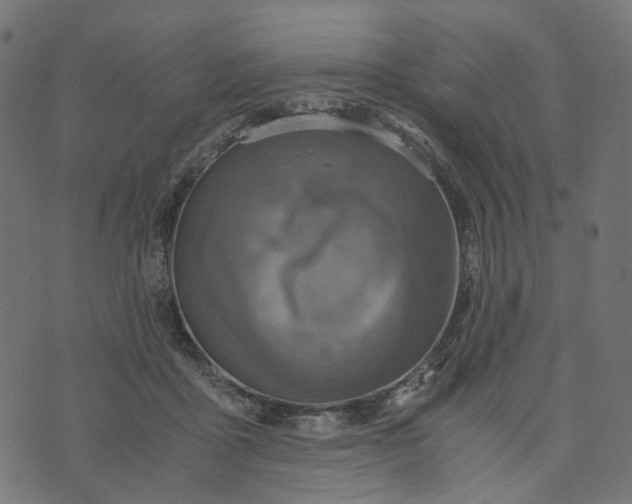 X0000073750411200608171336