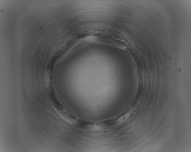 X0000073750412200608171336