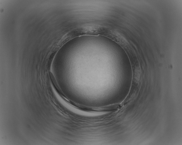 X0000073750413200608171336