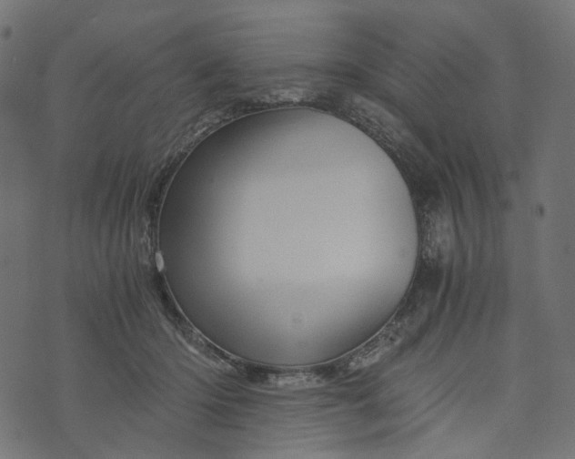 X0000073750414200608171336