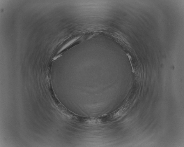 X0000073750415200608171336