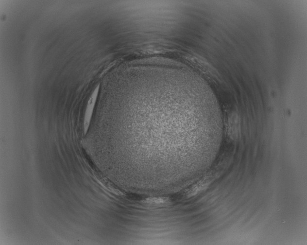 X0000073750418200608171336