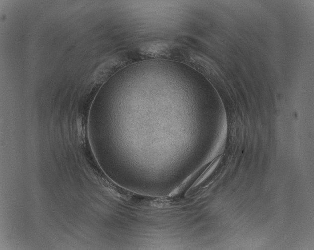 X0000073750420200608171336