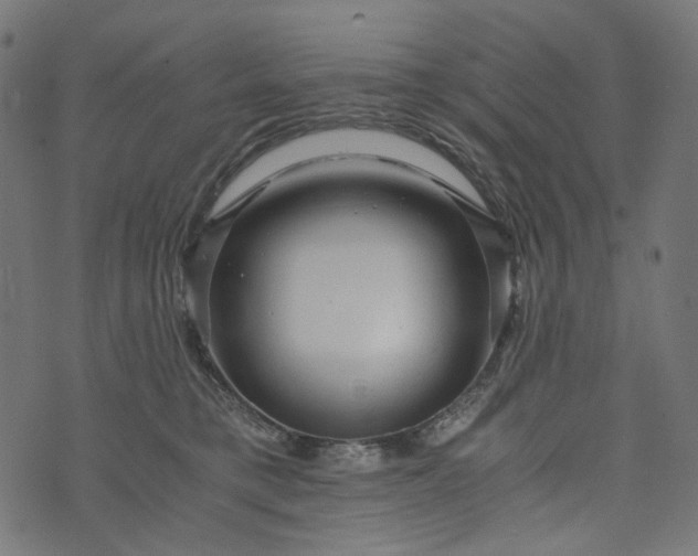 X0000073750421200608171336