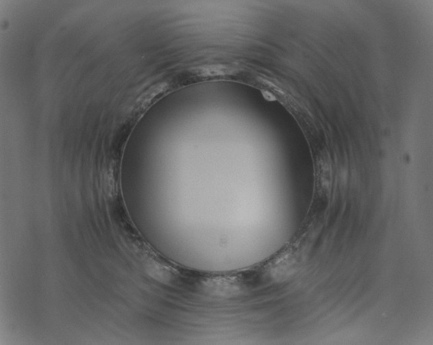 X0000073750422200608171336