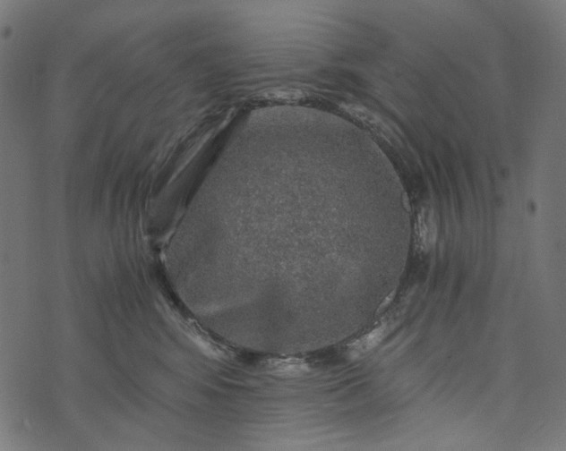 X0000073750424200608171336