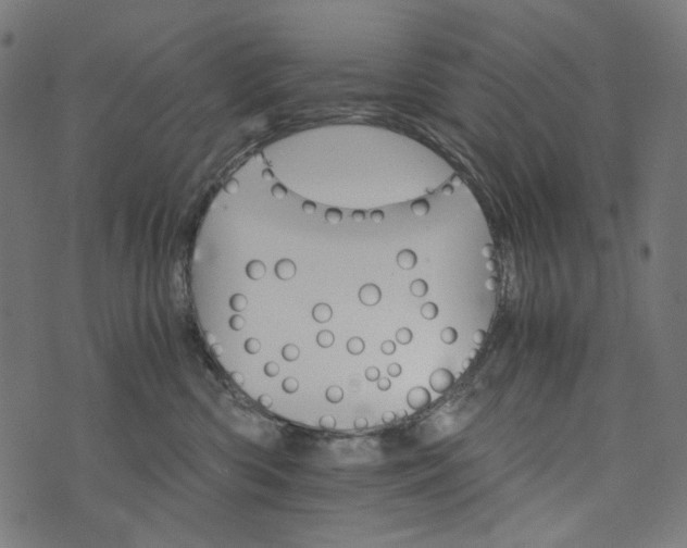 X0000073750426200608171336