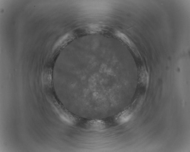 X0000073750427200608171336