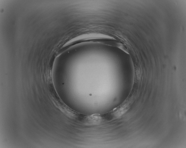 X0000073750429200608171336