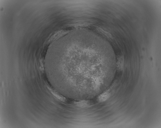 X0000073750430200608171336