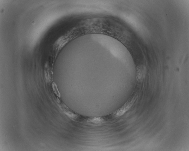 X0000073750431200608171336