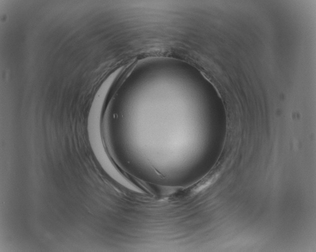 X0000073750432200608171336