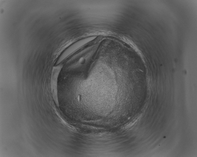 X0000073750433200608171335