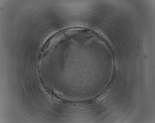 X0000073750434200608171335