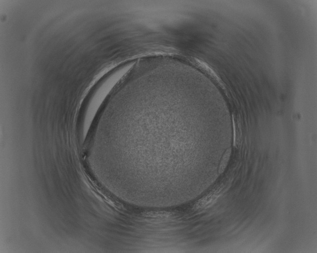 X0000073750435200608171335