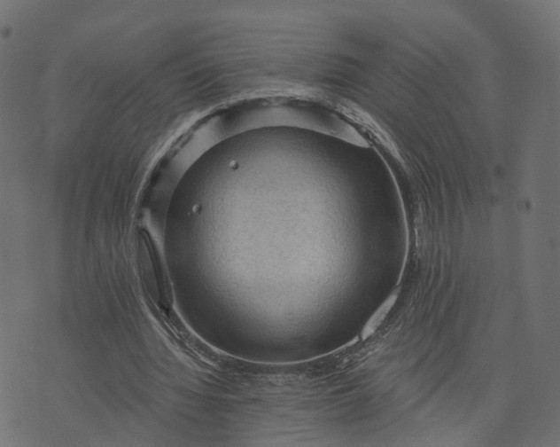 X0000073750436200608171335