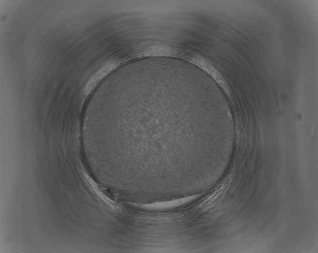 X0000073750437200608171335