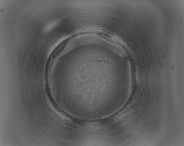 X0000073750438200608171335