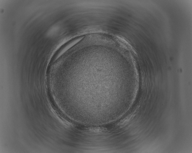 X0000073750439200608171335