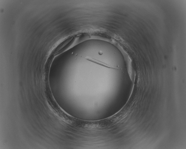 X0000073750440200608171335