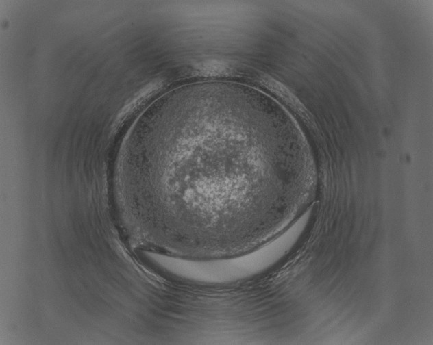 X0000073750442200608171335