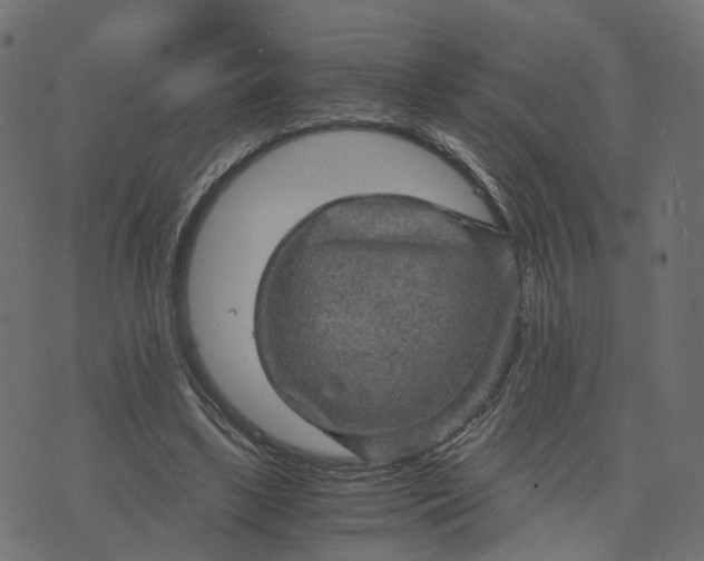 X0000073750443200608171335