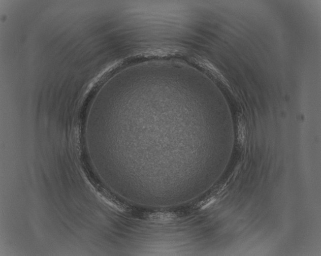 X0000073750444200608171335