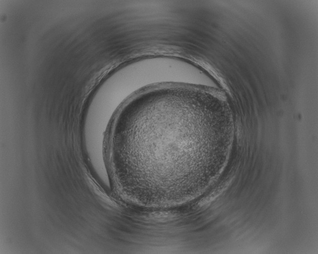 X0000073750445200608171335