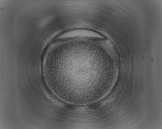 X0000073750446200608171335