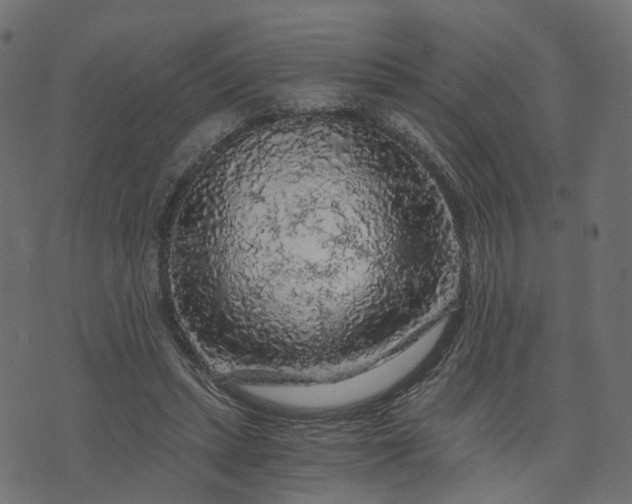 X0000073750447200608171335