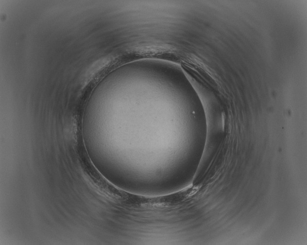 X0000073750448200608171335