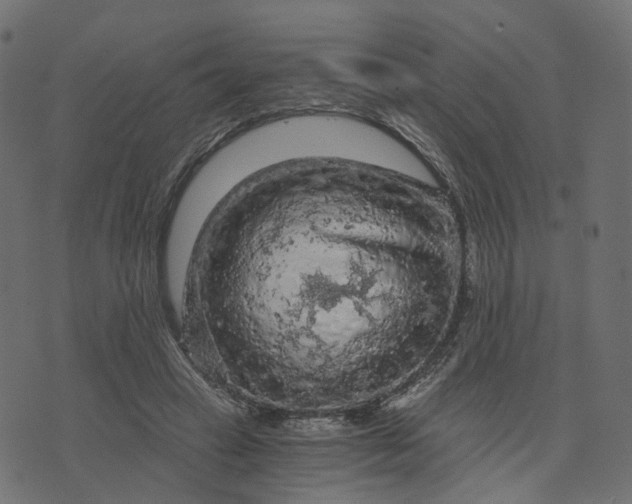 X0000073750449200608171335