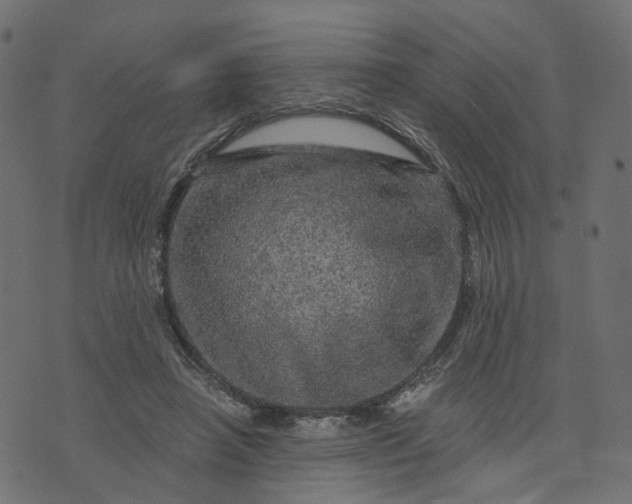 X0000073750450200608171335