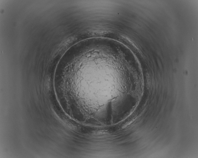 X0000073750451200608171335