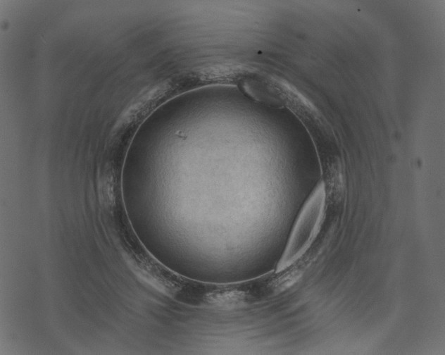 X0000073750452200608171335