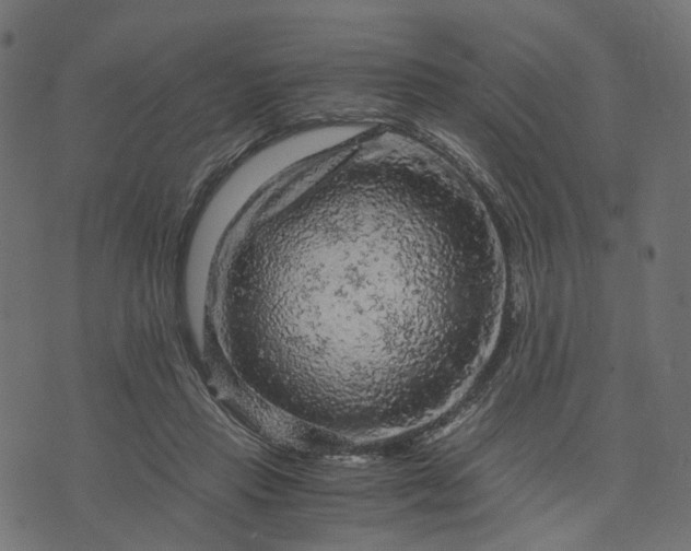 X0000073750453200608171335