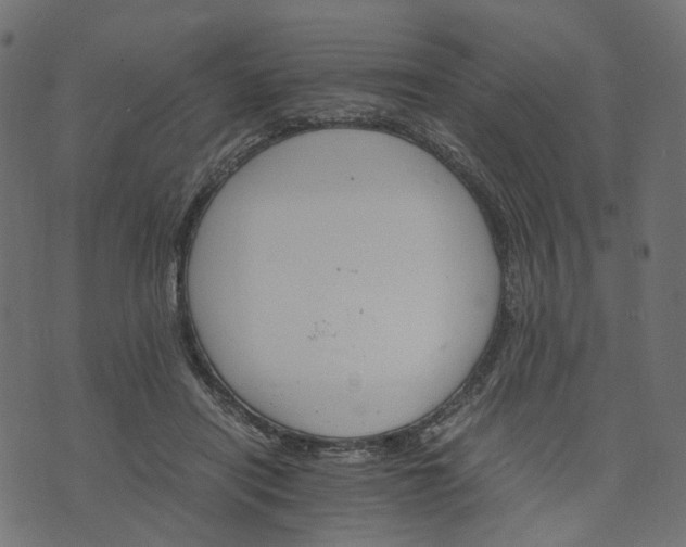 X0000073750454200608171335