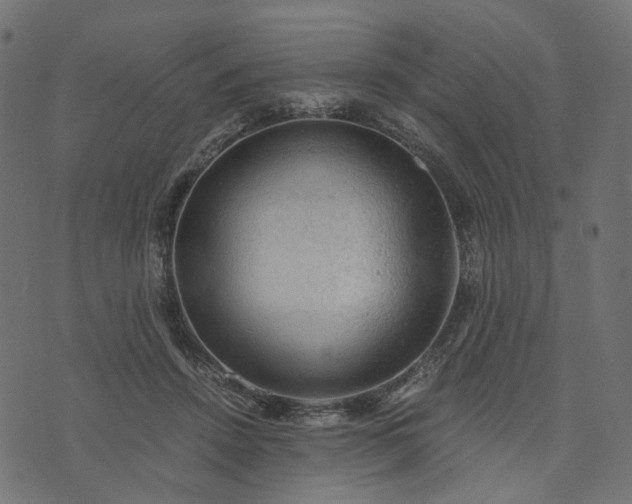 X0000073750456200608171335