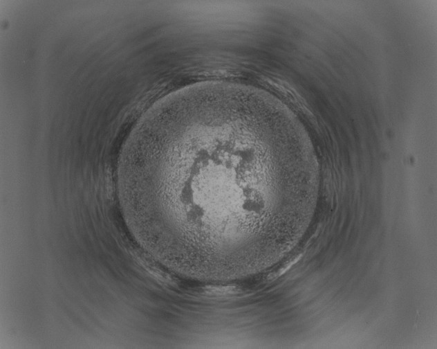 X0000073750457200608171335