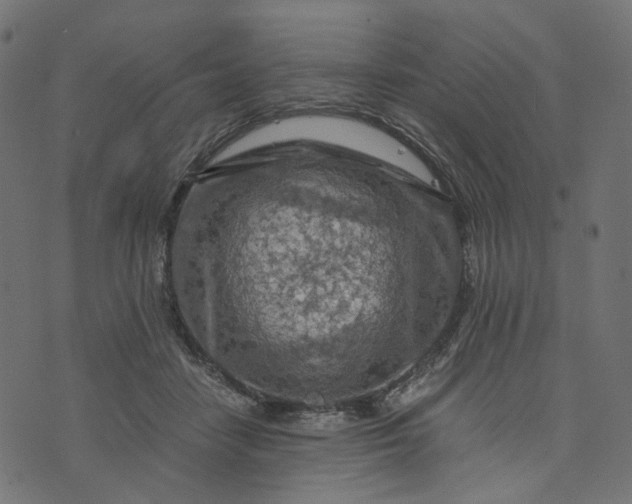 X0000073750458200608171335