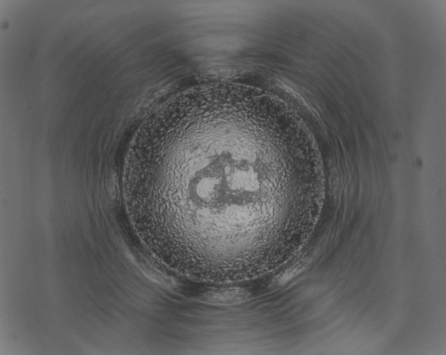 X0000073750459200608171335